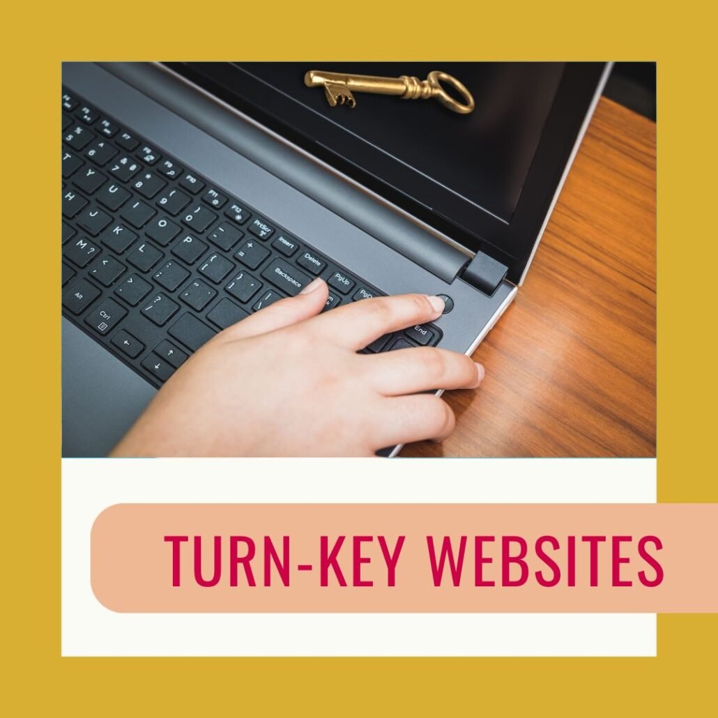 Turn key online internet website businesses for sale